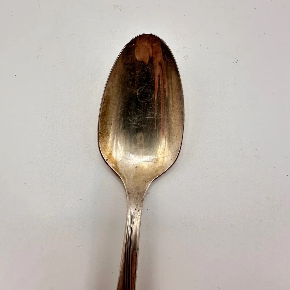Wm A Rogers Oneida Silverplate‎ Teaspoon Gardenia BRITTANY ROSE Vintage AA